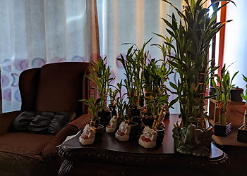 Happy Feet Spa - Rochester, NY Massage Therapy - Clinic Interior Image