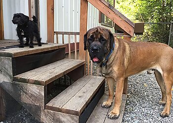 Anchorage Dog Walkers Happy Hearts Pet Care AK