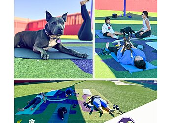 Oakland Dog Training Happy Hound Play & Daycare, Inc.