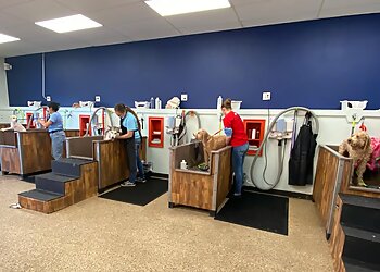 3 Best Pet Grooming in Fort Worth, TX - Expert Recommendations
