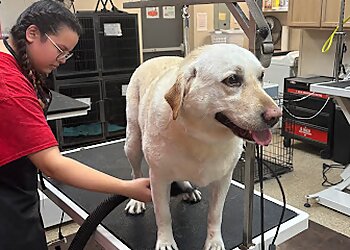 Fort Worth Pet Grooming Happy K9