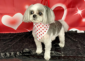 Santa Ana Pet Grooming Happy Paws Pet Grooming
