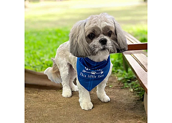 Richardson Pet Grooming Happy Paws Salon