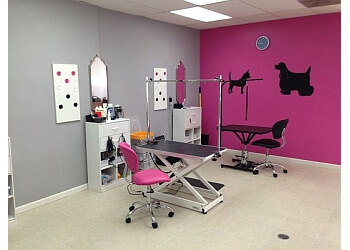 Happy Tails Dog Spa - Torrance, CA Pet Grooming - Service Image