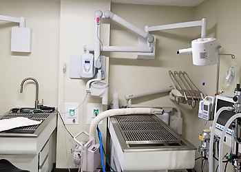 Happy Tails Veterinary Center - Aurora, CO Veterinary Clinics - Clinic Interior Image