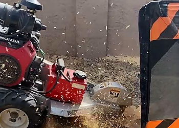 Scottsdale Tree Services Happy Tree Guys