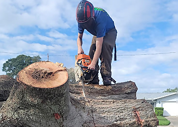 Clearwater Tree Services Happy’s Tree Service, LLC.