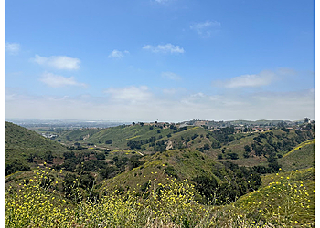 Ventura Hiking Trails Harmon Canyon Preserve