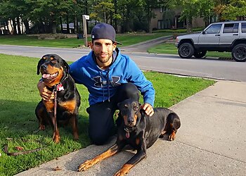 Fort Lauderdale Dog Training Harmony K9 Training