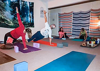 Harmony Yoga & Wellness Studio LLC - Montgomery, AL Yoga Studios - Group Class Image