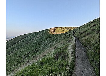 Bakersfield Hiking Trails Hart Memorial Park