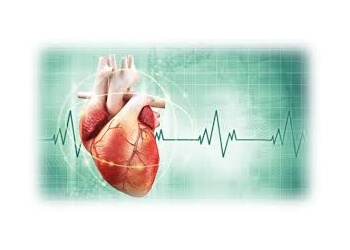 Harvinder Arora, MD - Laredo Physicians Group - Cardiovascular Surgery Laredo Cardiologists