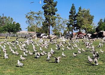 3 Best Public Parks in Garden Grove, CA - Expert ...