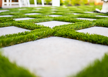 Newport Beach Landscaping Companies HavenHub