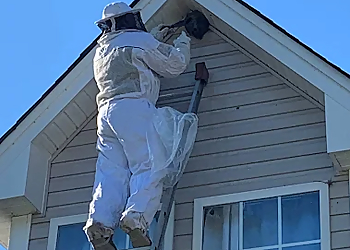 Chesapeake Pest Control Companies Hawk Mosquito & Pest, LLC.