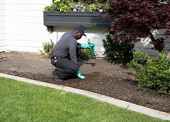 Atlanta Pest Control Companies Hawx Pest Control