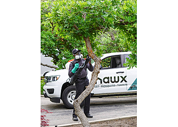 Atlanta Pest Control Companies Hawx Pest Control
