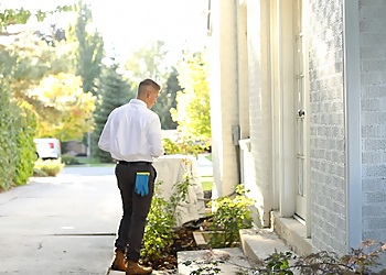 Milwaukee Pest Control Companies Hawx Pest Control Milwaukee