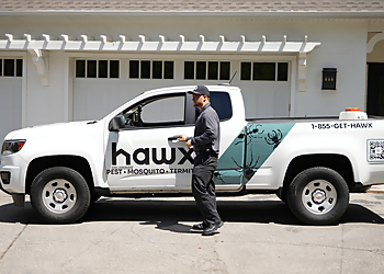 Hawx Pest Control Milwaukee  Milwaukee Pest Control Companies image 1