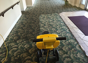 3 Best Carpet Cleaners in Bridgeport, CT - Expert ...