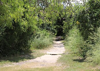 Corpus Christi Hiking Trails Hazel Bazemore Park