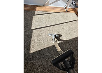 Ann Arbor Carpet Cleaners Healthy Carpets