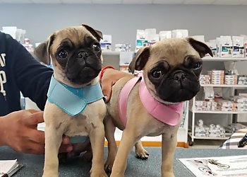 Orange Veterinary Clinics Healthy Pet Hospital and Grooming