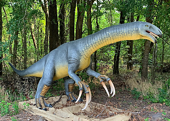 McKinney Places To See Heard Natural Science Museum & Wildlife Sanctuary