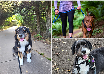 Wichita Dog Walkers Heartfelt Dog Walking, LLC