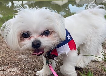 Newport News Dog Walkers Hearts at Home Pet Sitting, LLC.