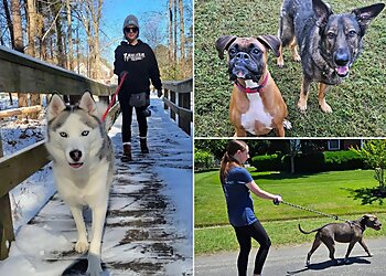 Newport News Dog Walkers Hearts at Home Pet Sitting, LLC.