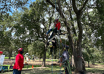 Roseville Tree Services Heartwood Professional Tree Management Inc.