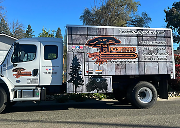 Heartwood Professional Tree Management Inc. Roseville Tree Services image 1