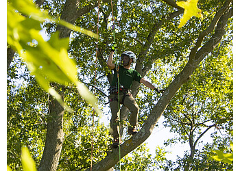 Heartwood Tree Care Grand Rapids Tree Services image 1