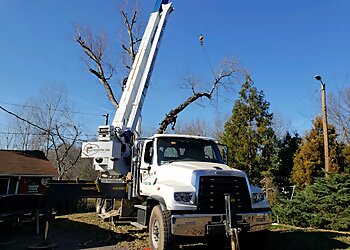 Charlotte Tree Services Heartwood Tree Service, LLC