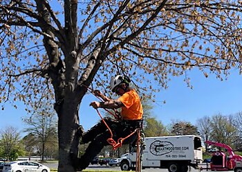 Charlotte Tree Services Heartwood Tree Service, LLC