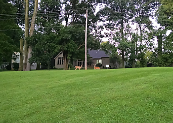 Toledo Golf Courses Heather Downs Country Club