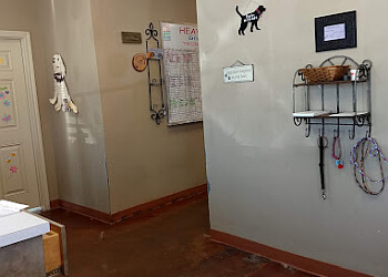 Lubbock Pet Grooming Heavenly Paws Grooming & Spa