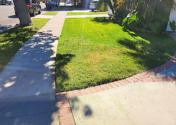 Heavenly's Lawn Care - Newport Beach, CA Lawn Care Services - Project Image
