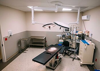 Fresno Plastic Surgeon Hedieh Arbabzadeh, MD, FACS