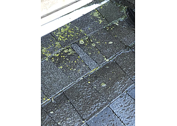 Portland Handyman Helpful Badger