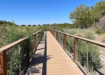 Henderson Bird Viewing Preserve - Henderson, NV Places To See - Attraction Image