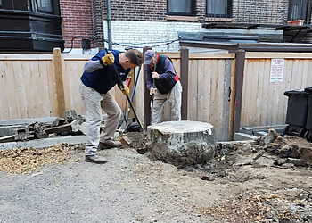 Boston Tree Services Hercules Stump Grinding, LLC