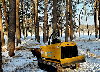 Boston Tree Services Hercules Stump Grinding, LLC