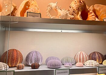 El Cajon Places To See Heritage of the Americas Museum