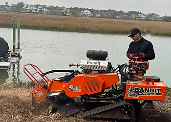 Hernandez Trees & Lawn care LLC Charleston Tree Services image 1
