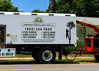 Hernandez Trees and Lawn care LLC - Charleston, SC Lawn Care Services - Truck Image