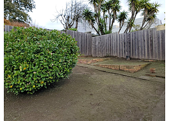 San Francisco Lawn Care Services Hernandez Yard Services