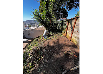 San Francisco Lawn Care Services Hernandez Yard Services