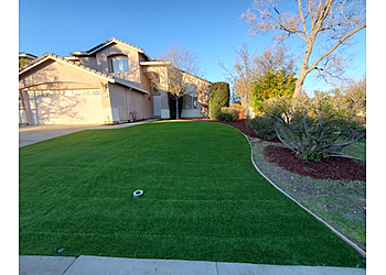 Hernandez Yard Services San Francisco Lawn Care Services image 1